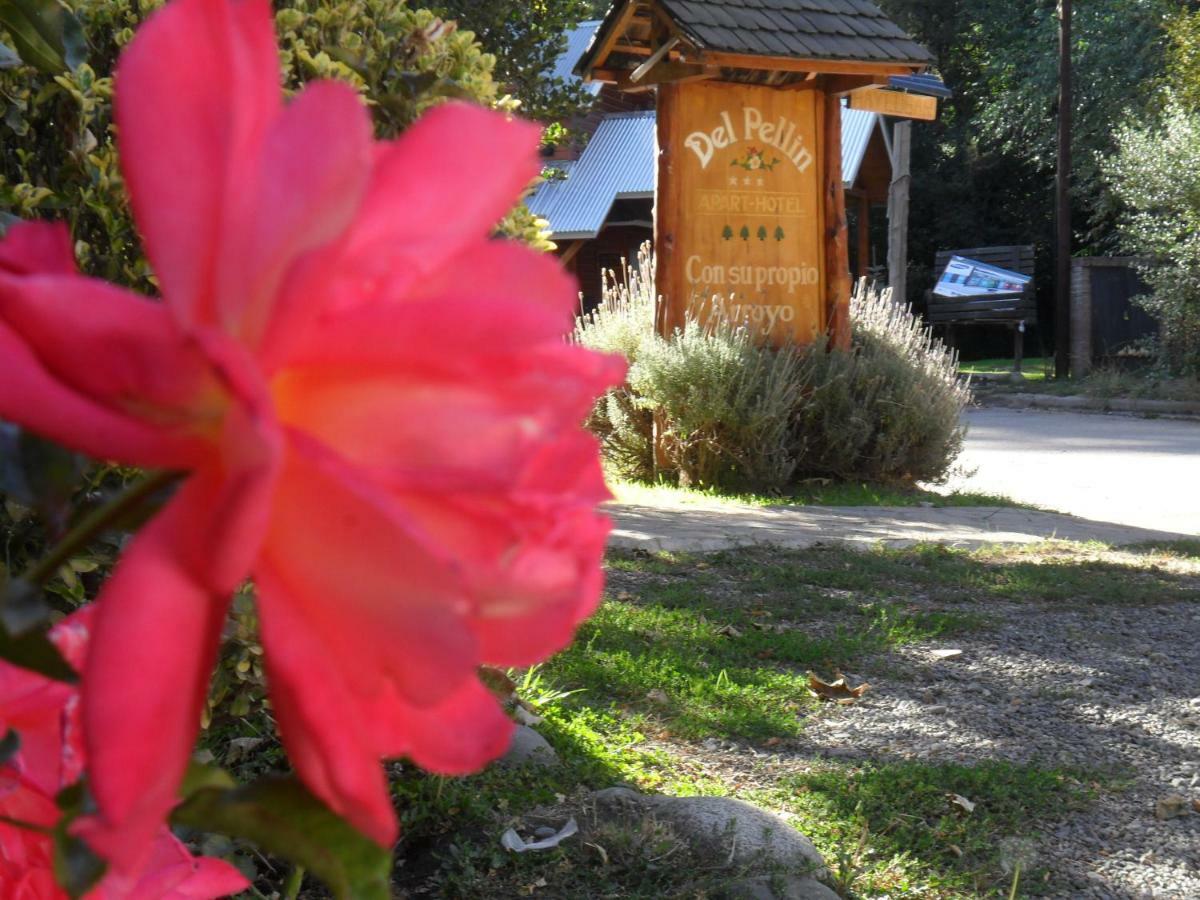 Hotel Dormi Del Pellin San Martín de los Andes Zewnętrze zdjęcie