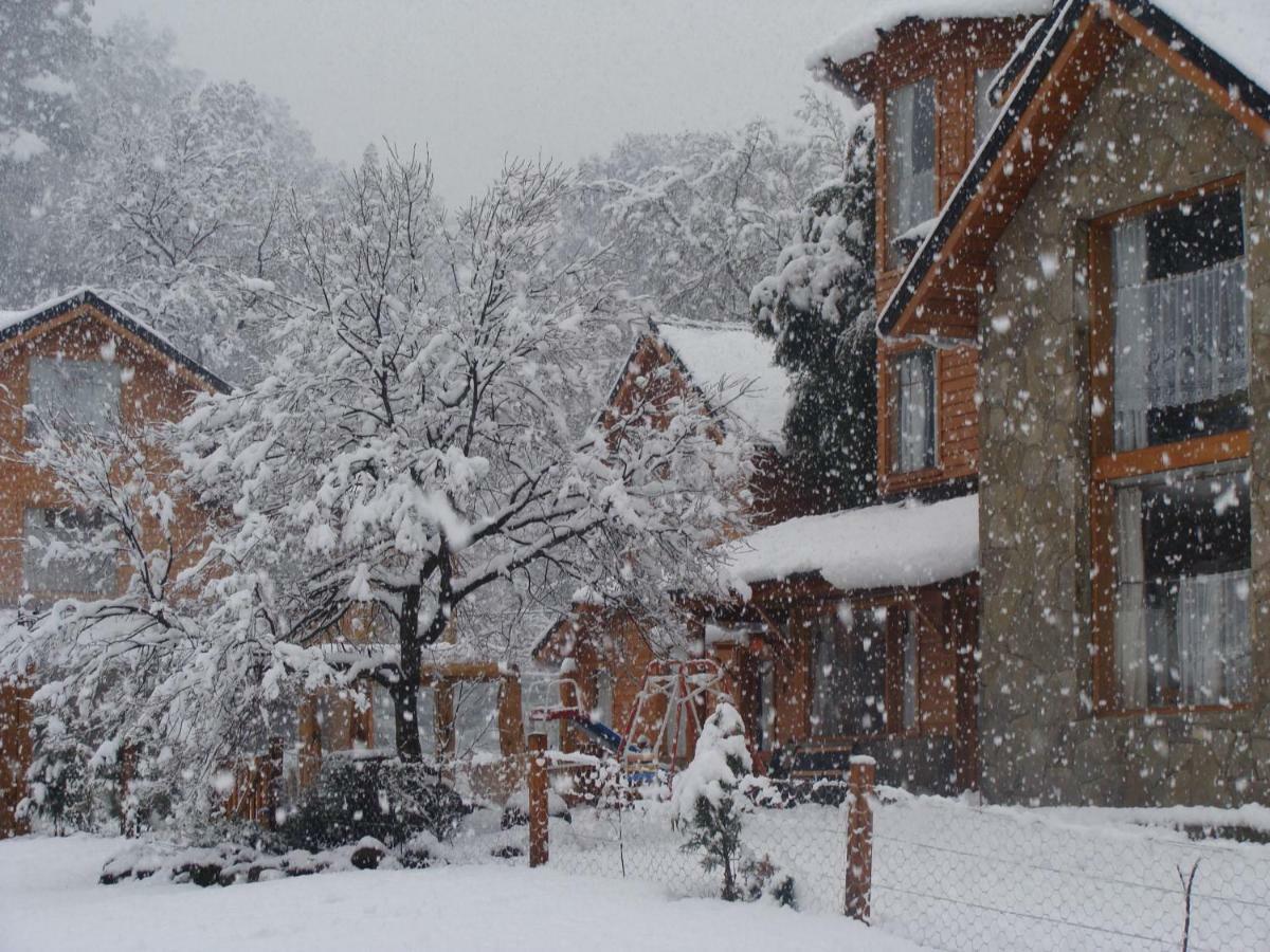 Hotel Dormi Del Pellin San Martín de los Andes Zewnętrze zdjęcie